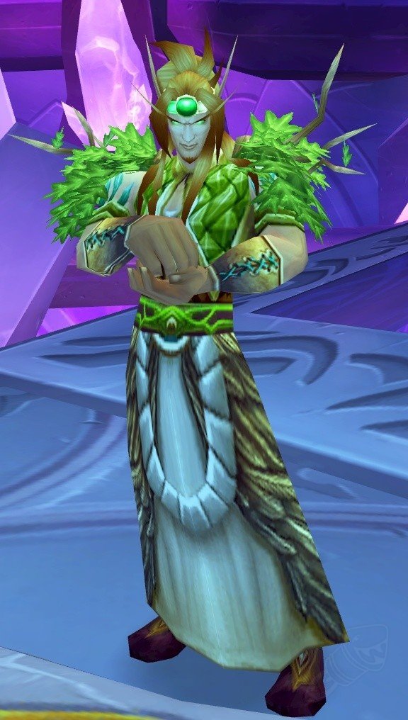 Shikyonaito's tweet photo. @lidcarter I love that Blizz seems to have forgotten that the Sin'dorei have had a Druid since TBC --- in The Botanica:
High Botanist Freywinn https://t.co/IFV9BwkJAs