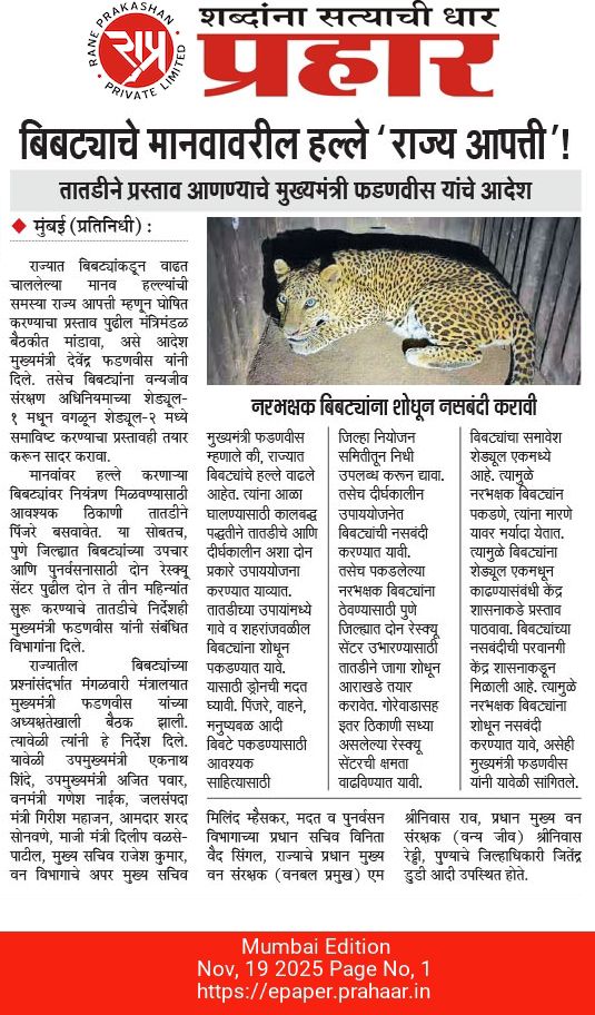 CMOMaharashtra's tweet image. बिबट्याचे मानवावरील हल्ले &apos;राज्य आपत्ती&apos;!

 @Dev_Fadnavis
#Maharashtra #DevendraFadnavis #WildlifeProtection