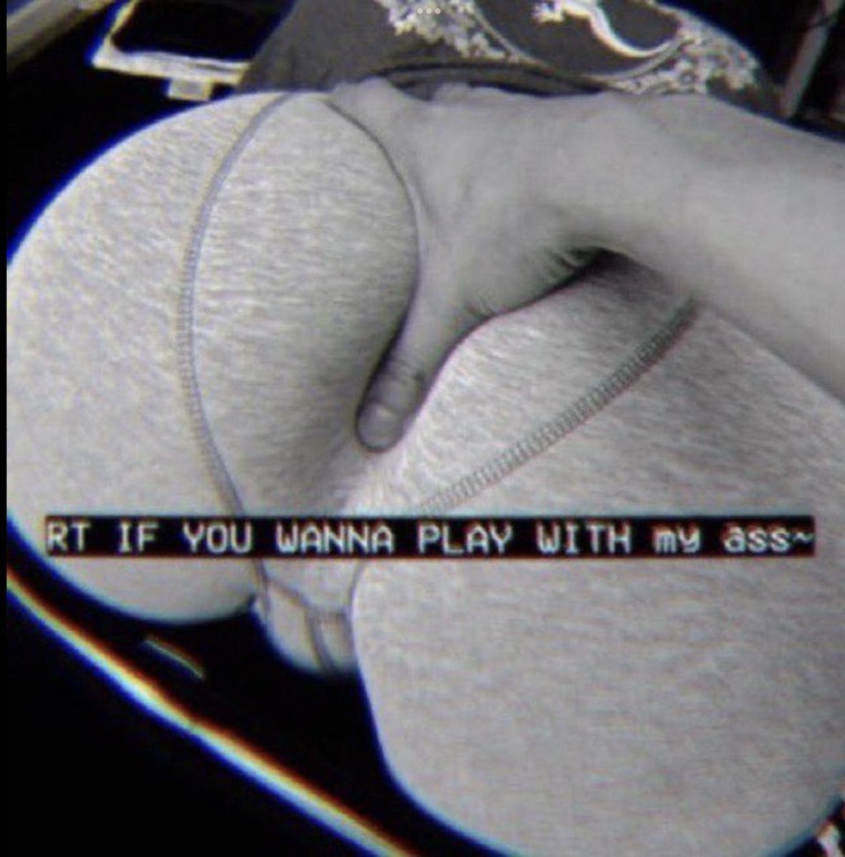 Jean Gunnhilder (@dandelionpawg) on Twitter photo 