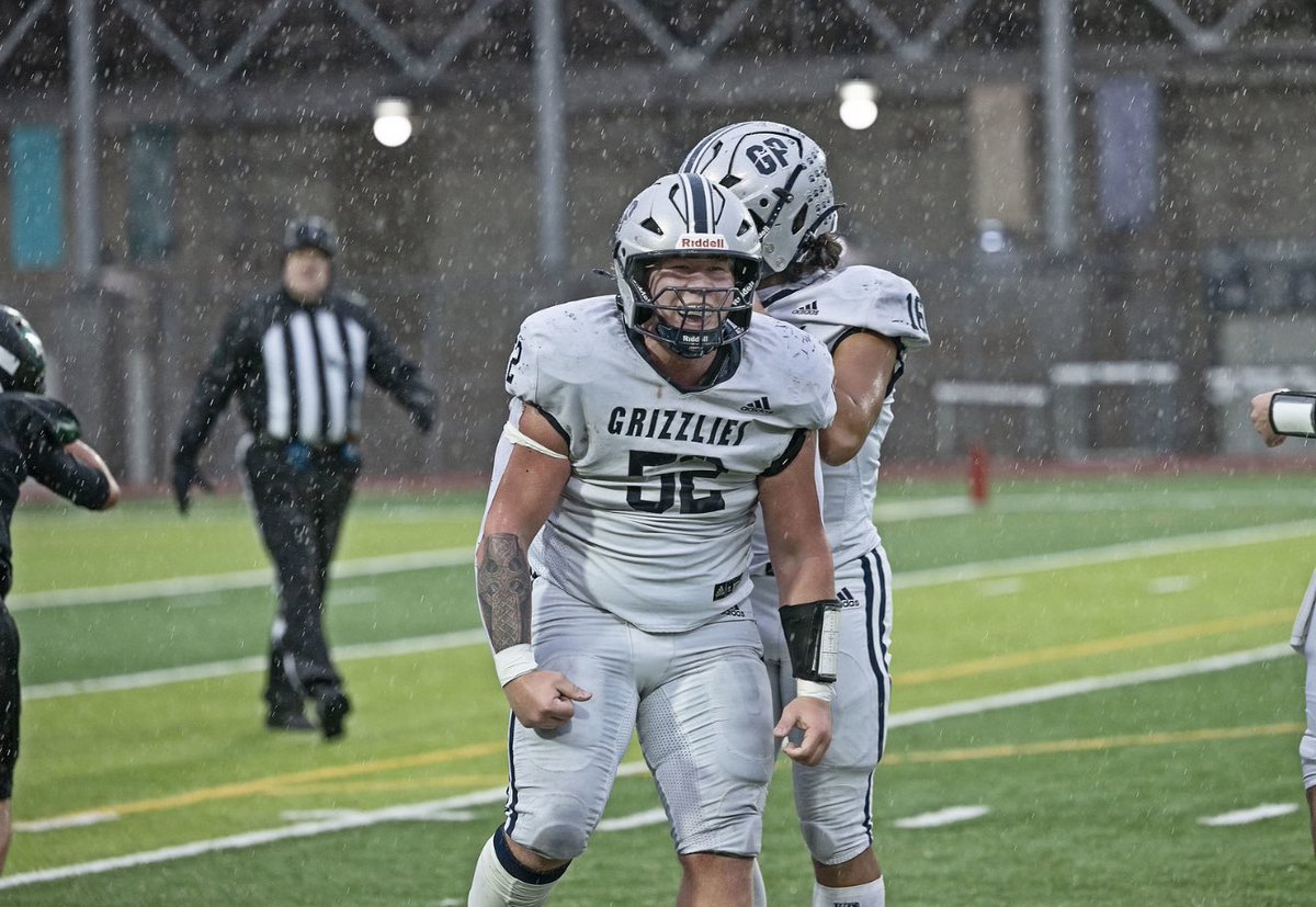 Dane Chapman tweet media