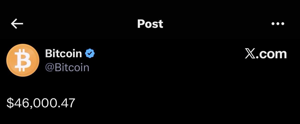 Bull 👑 tweet media