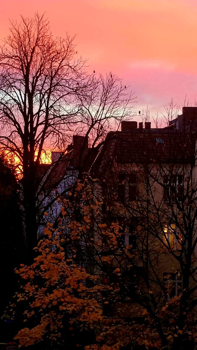Le soleil ne demande jamais la permission pour briller. Faites pareil avec votre joie.
Josiane Coeijmans

Joli mercredi! 💕
#WindowsOnWednesday