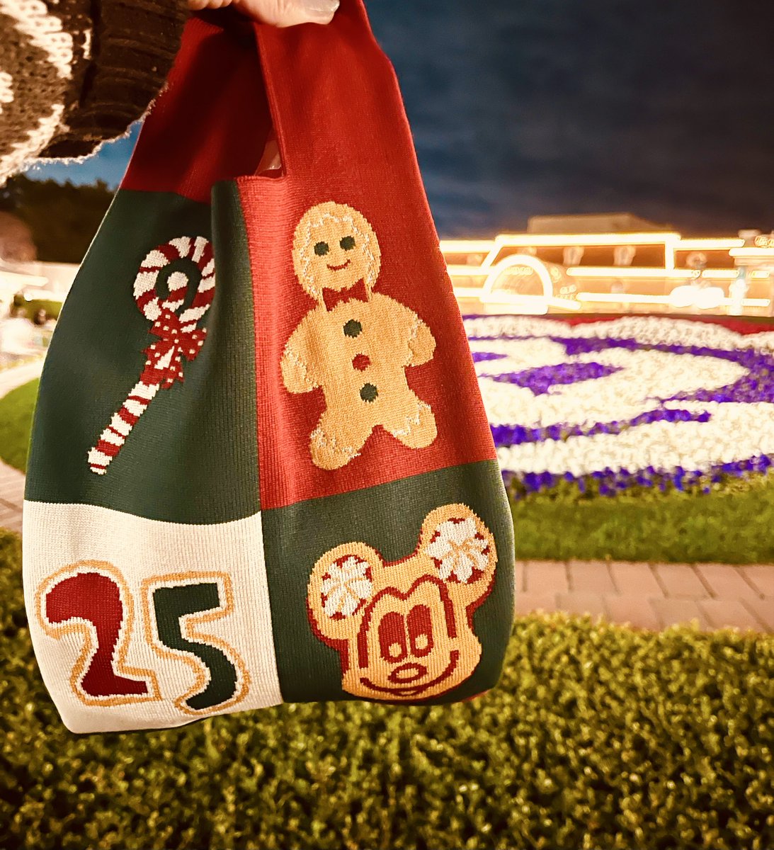 りりぃ (@33liliy33) / Posts / X