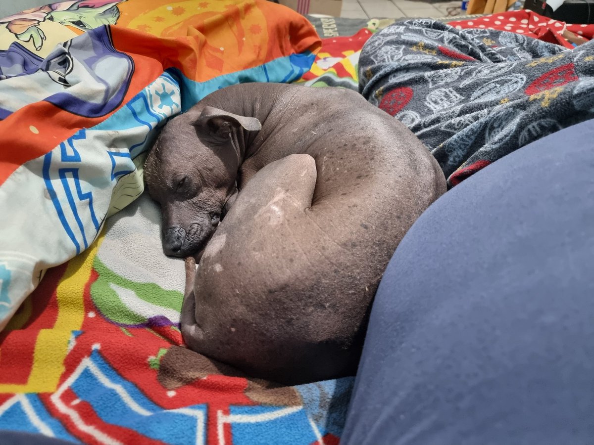 No hace tanto frío y ya le quite su pants 😂😂