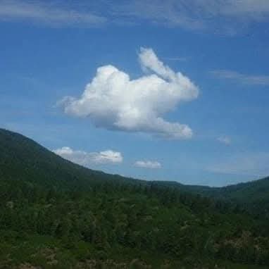 RabbitLoversUSA's tweet image. Rabbit clouds⛅🐰🌨🐇🌥