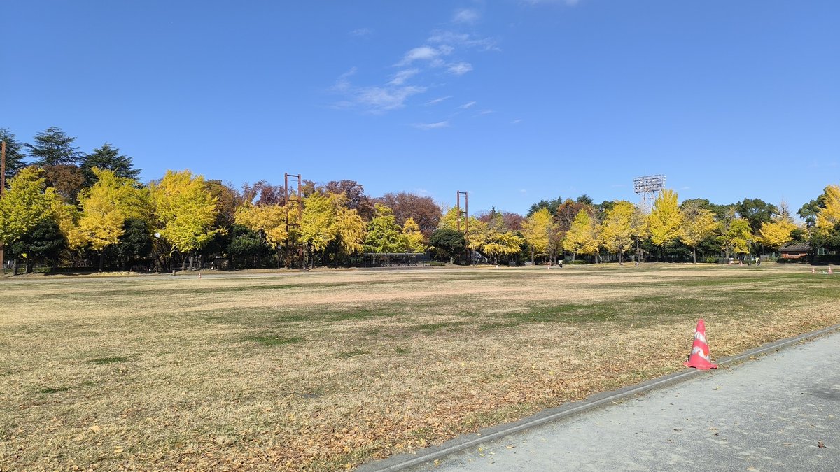 tobing_X's tweet image. 11/19の良かったこと

①テレワークした👨‍💼
②ウォーキングした🚶‍♂️

今日の東京は寒かったですが快晴でした☀️

#ホメ療法 
#みんなdeポジティブ人間化 
#ポジティブ日記