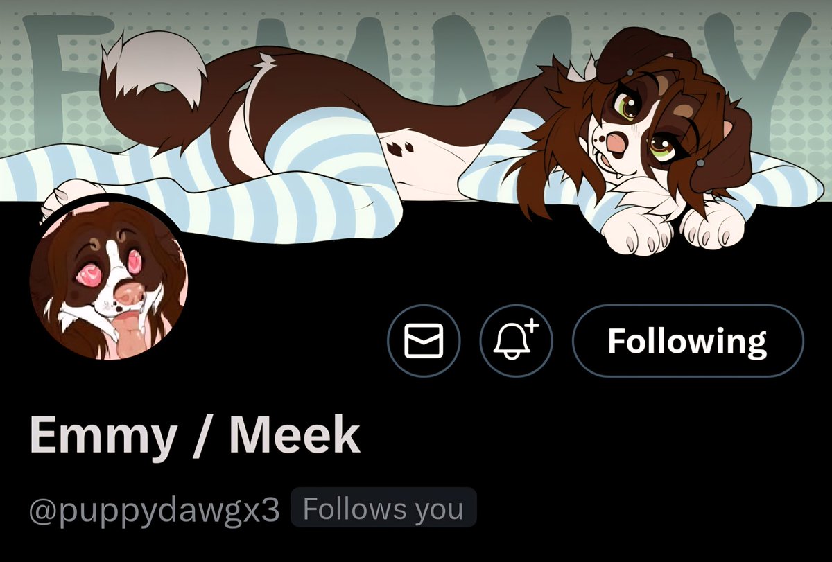 🎀BabyCollie🎀 tweet media