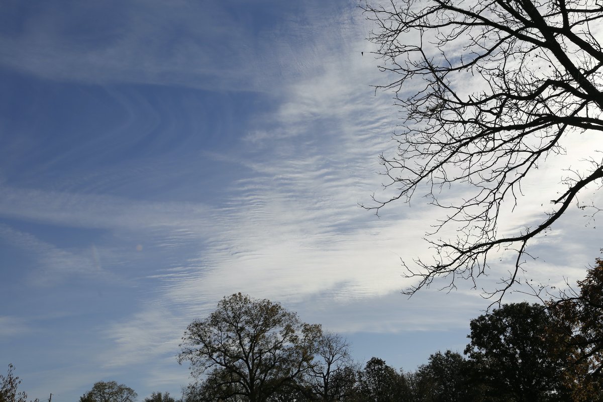 LifeINthe180's tweet image. Different frequencies, more material added (left frame) many patterns in this image sequence.