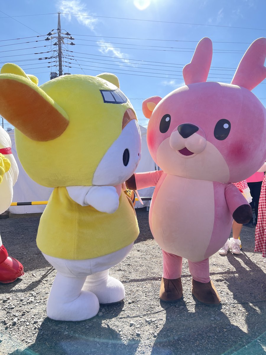 はねぴょん【公式】 (@hanepyon_ota) / Posts / X