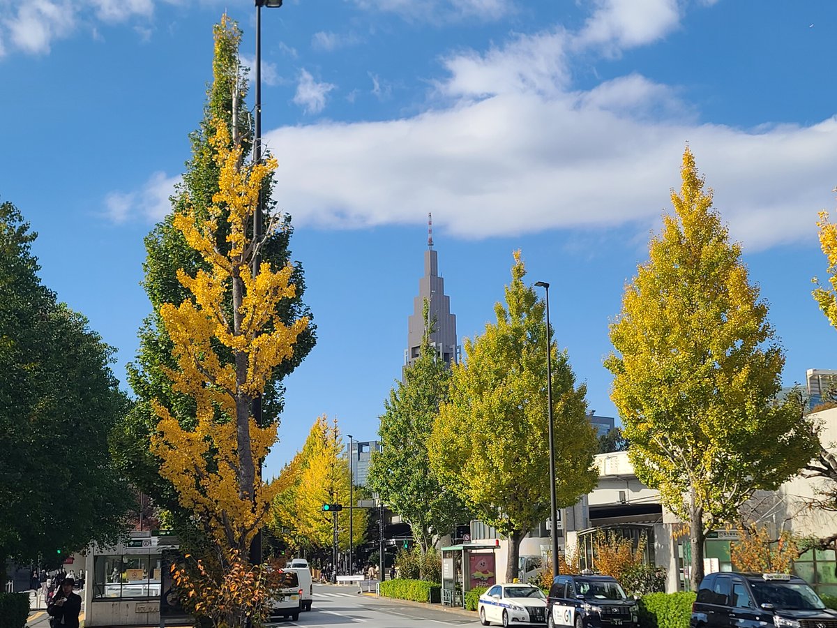Tokyoning shunaqa chiroyli ko'chalari bor ekan)