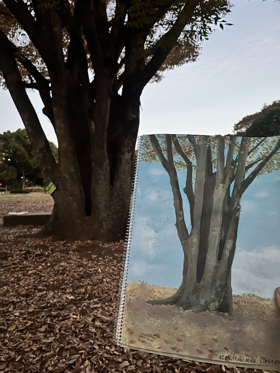 木のそばでスケッチ🍂