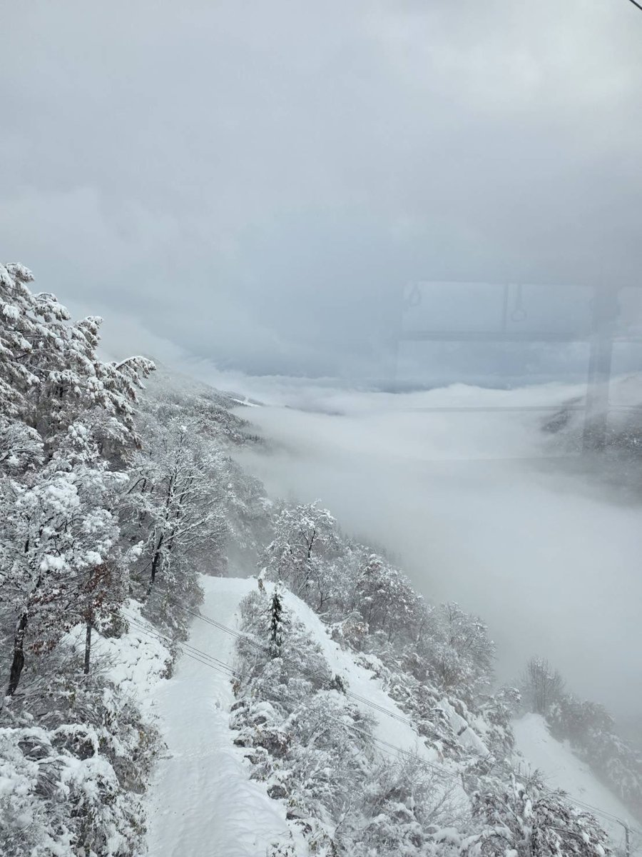 今朝まで降り続いた雪で真っ白になりました⛄️

#湯沢高原 #湯沢高原スキー場 #yuzawa #snow