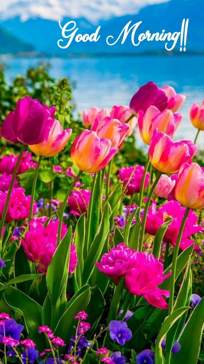 Can I get a Good Morning 😙