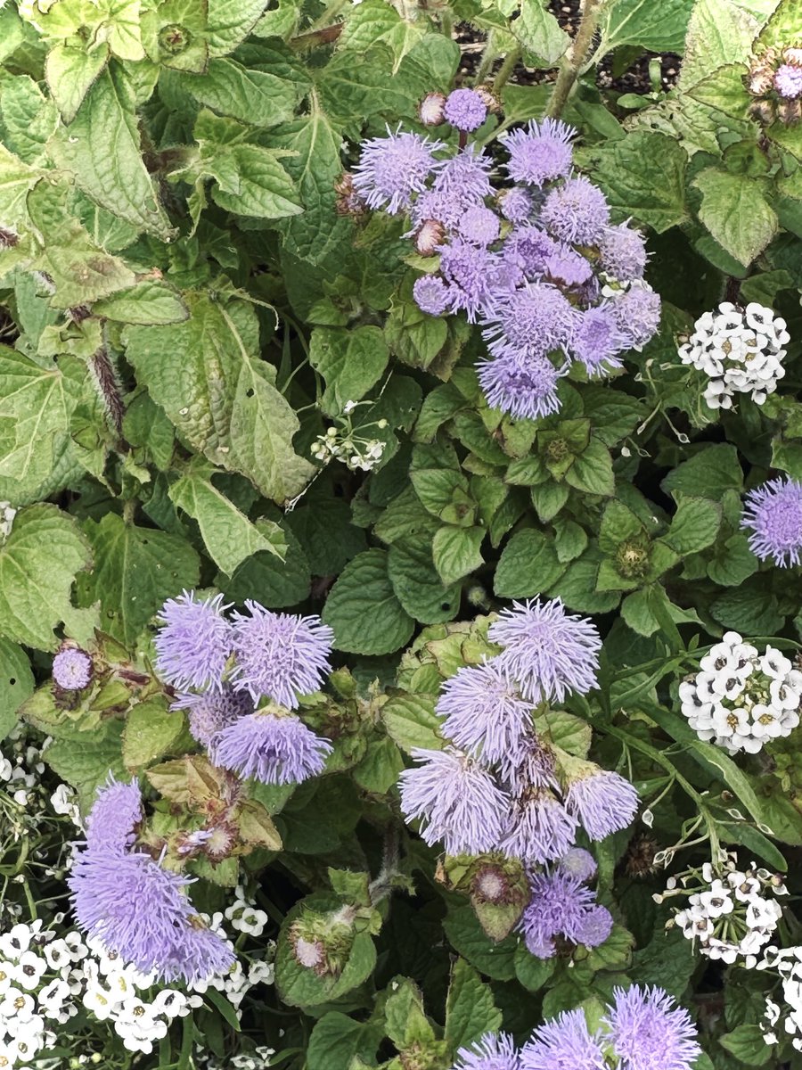 朝なのに薬の影響で睡魔とのたたかいです。
やらなければならない事があるけど睡魔から解放されるまで暫し休息。
今日も一日頑張ります。
フォロワーの皆様も元気に活動しましょう。
#LUNE #リハビリ