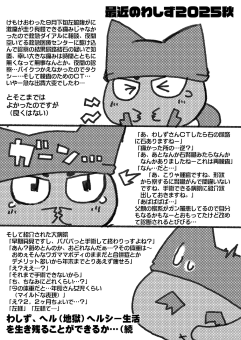 [お知らせ]と、年をとった…なんとか無事に1年すごせた…とおもいきや石で病院行ったときにCTに不穏な影がみえて再検査したら腎臓がんがみっかりました()
幸い早期発見らしいのでよかったーとおもったら紹介された病院の担当医にその前に痩せねーと手術できないといわれて今に至ります(続く) 