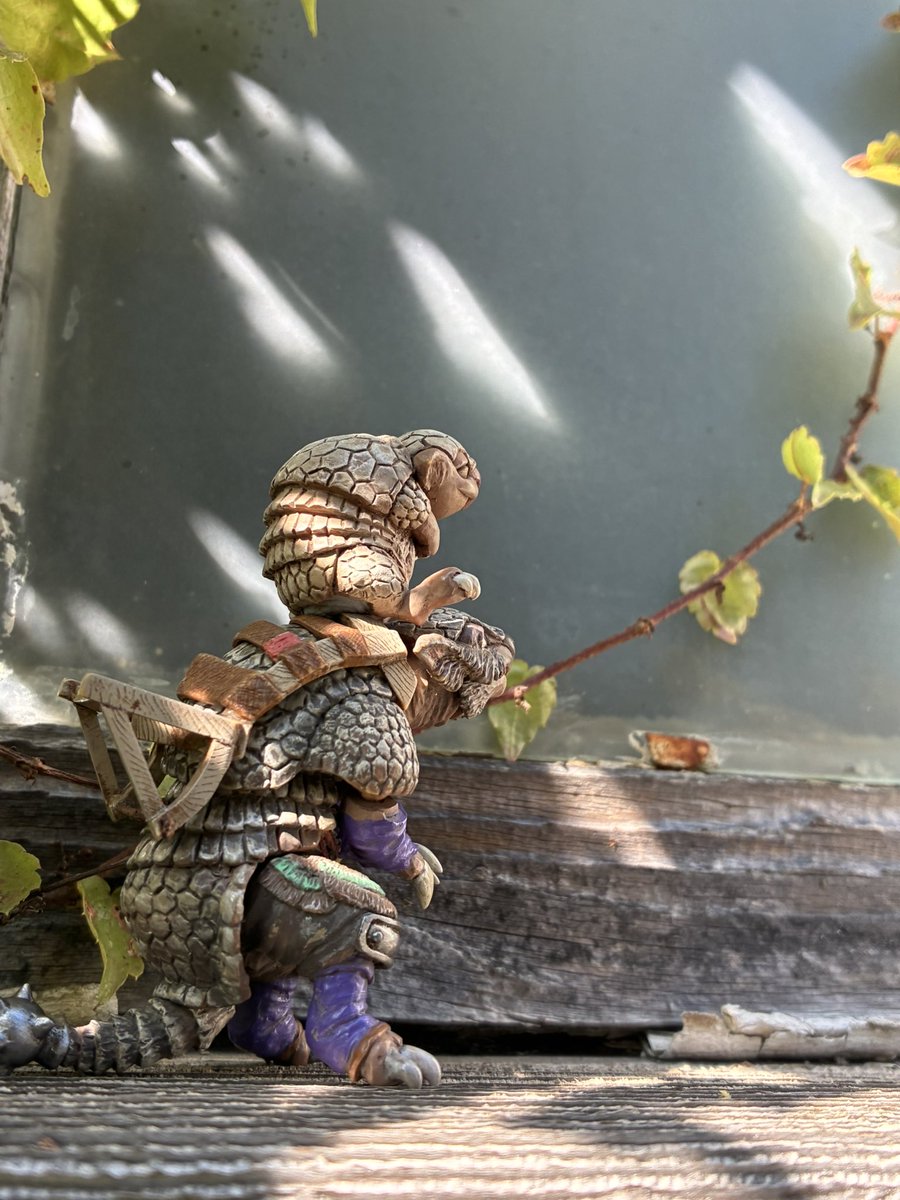 mesonosuke's tweet image. おはようございます