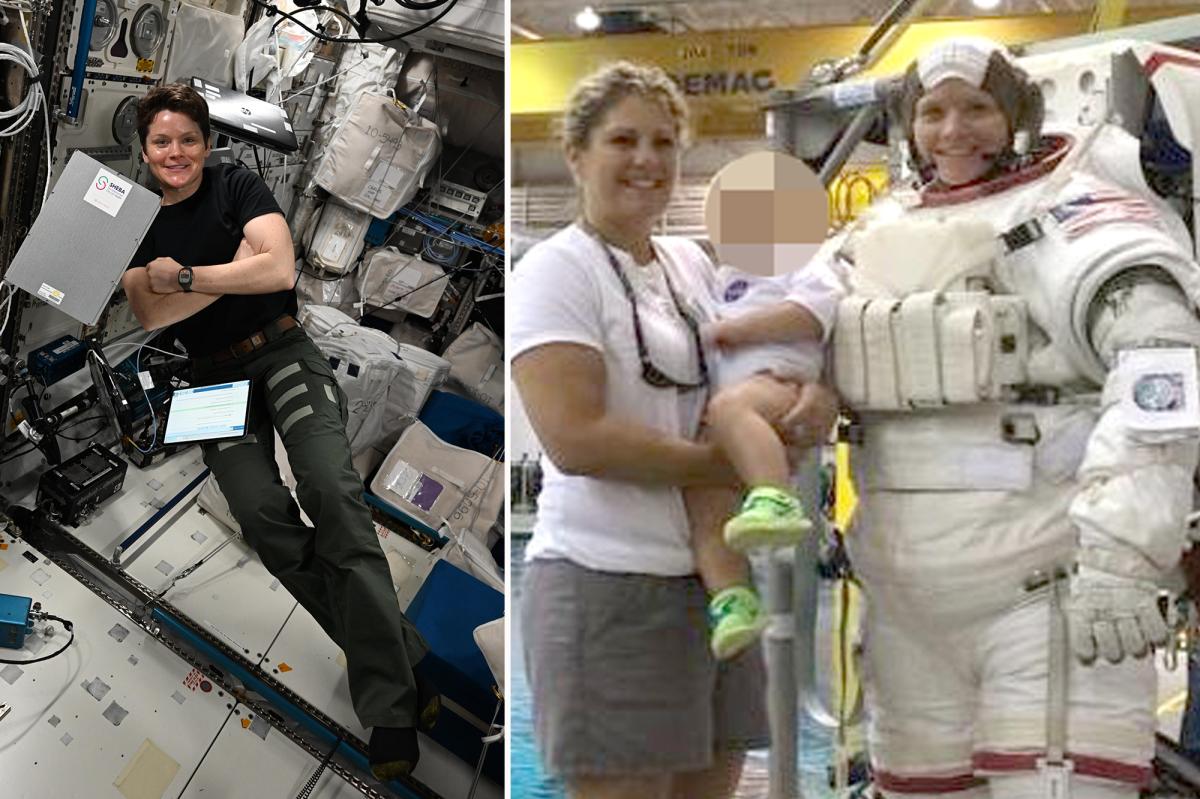 nypost's tweet image. Ex-wife of top NASA astronaut pleads guilty to falsely alleging former spouse committed first crime in space trib.al/jGX9PdL