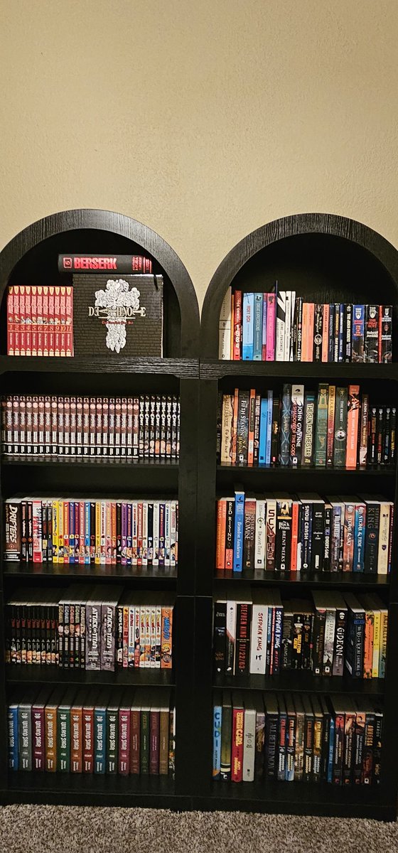AuthorTalkwGav's tweet image. ✨️NEW BOOKSHELVES!✨️

#book #bookshelf #BookTwitter #read #reading #reader