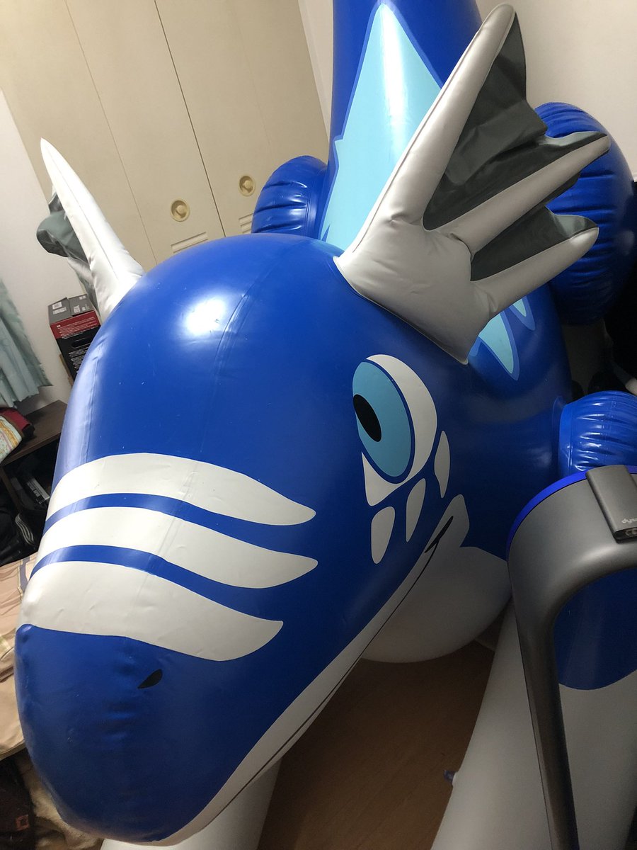 popme32's tweet image. うちのドラドラ