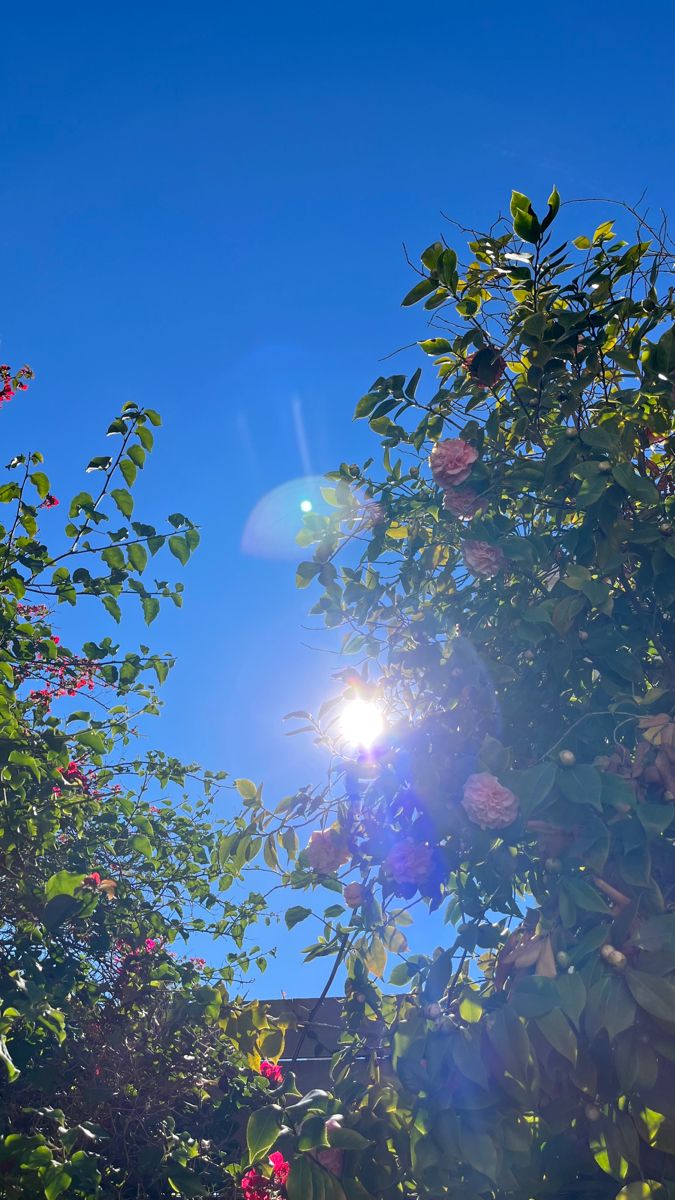 Assalamoaliekum💐

Good Afternoon “X” Family🌸

Stay Blessed And Be Happy😊🥀

(Mutual Rt ) Bookmark to bookmark 💯

#TDR__now