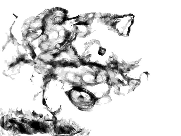bidwell_vicky's tweet photo. Art of the Day! "Planted Smoke". Buy at: https://t.co/zLbwuFBnmB https://t.co/gLYqmiPg5r