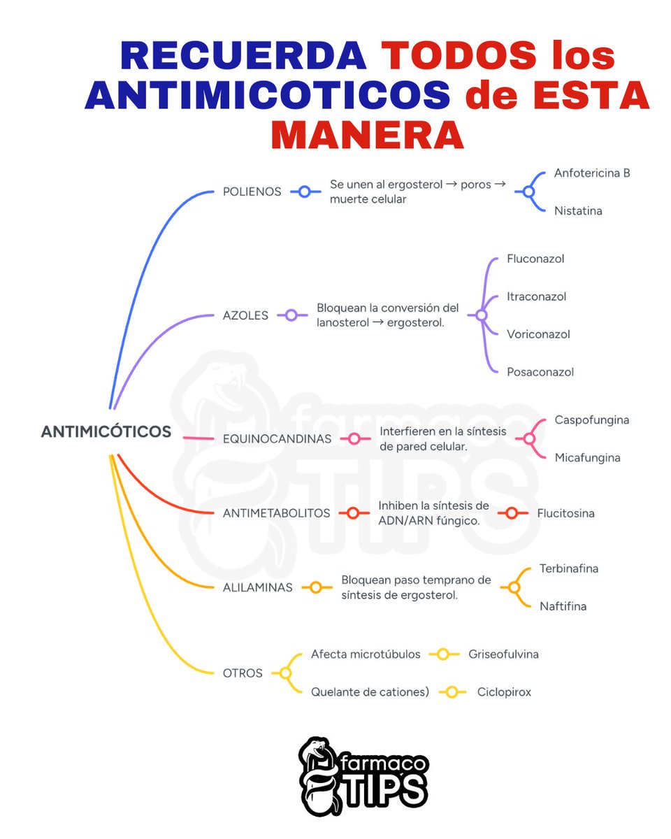 RECUERDA TODOS los
ANTIMICOTICOS de ESTA
MANERA