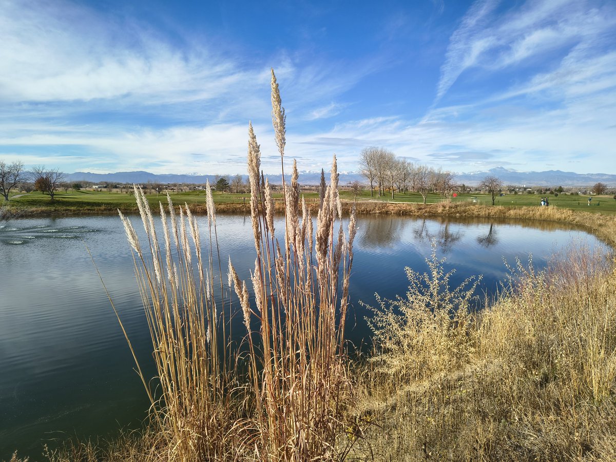 Rick "Worm" 🐛 Charbonneau tweet media