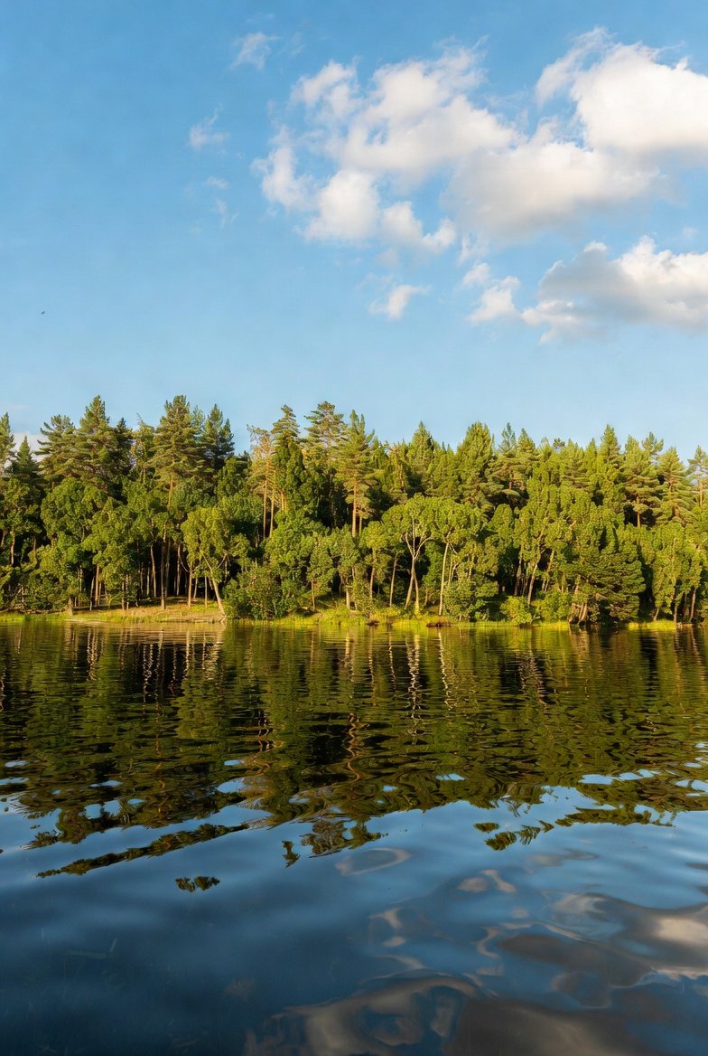 Let today be the chapter where your hopes grow brighter, your steps get stronger, and your smile finds a new reason to shine.

Good Morning.