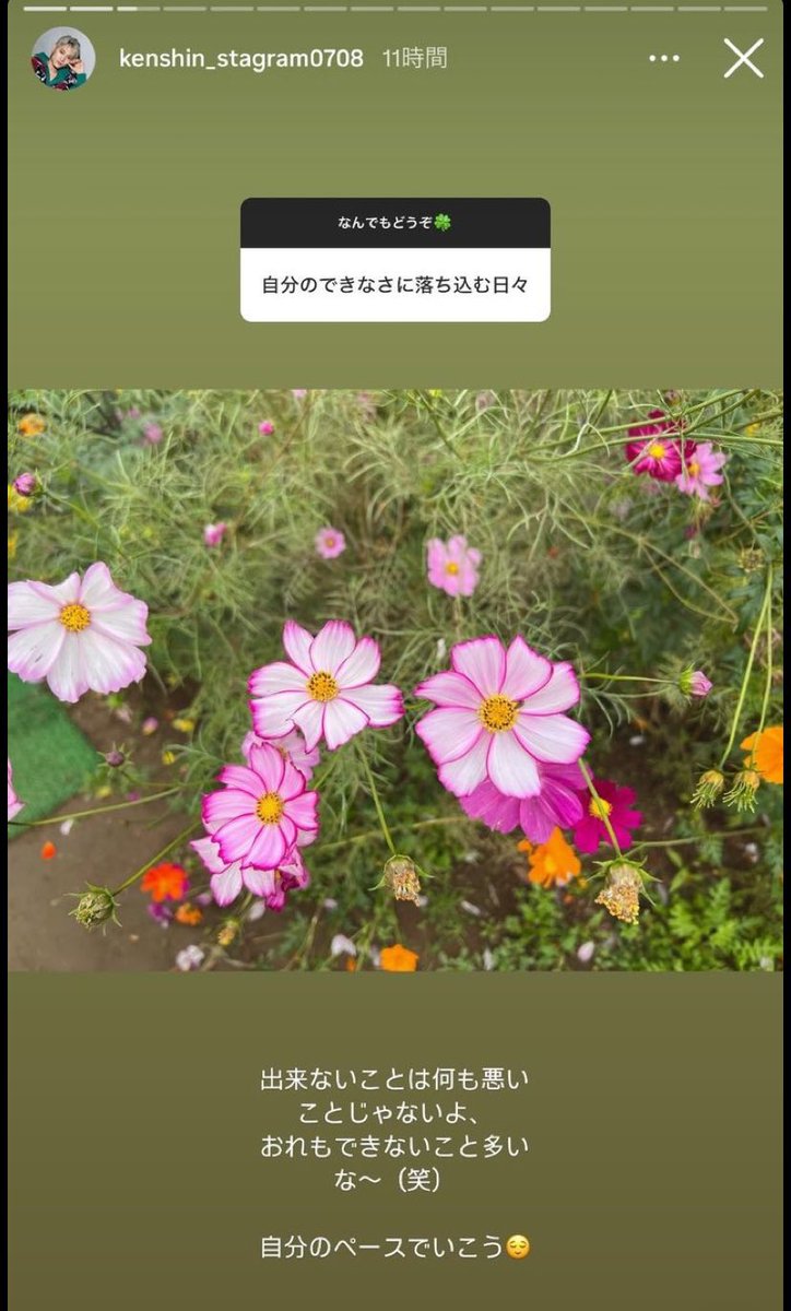 KENSHIN キラリ スクラッチ 猫の日C賞クリアカード 上村謙信 上村謙信