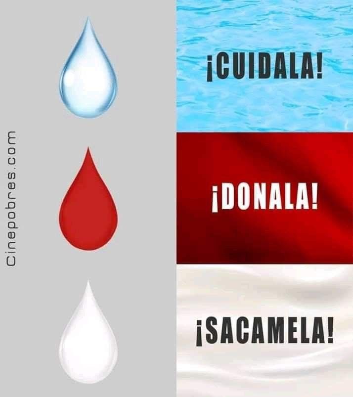 ksyobld's tweet image. 