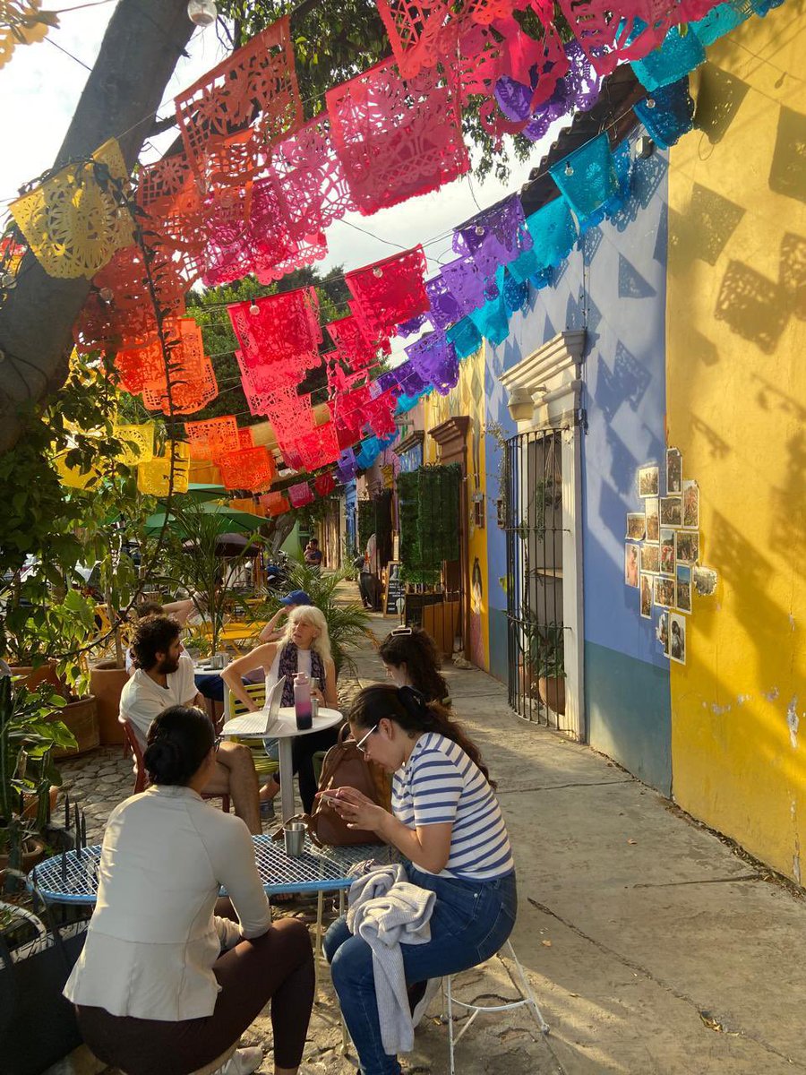 Durante mi visita a Oaxaca tuve el gusto de conocer a Jaime Levin, artista 🇦🇺 radicado aquí desde 2019 y fundador de Once in Oaxaca… ¡y también a su mamá! 

Un placer conversar sobre su trayectoria y cómo conecta creativamente a México y Australia.