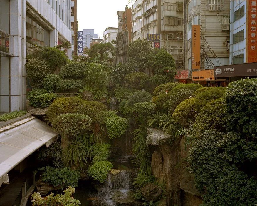 fasc1nate's tweet image. A literal urban jungle, Taipei, Taiwan