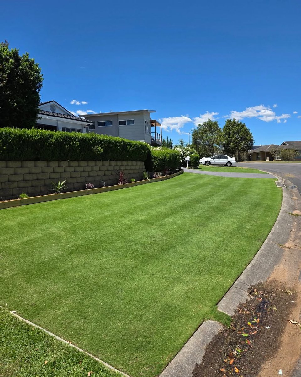 RT lawnsolutionsau: Joel's TifTuf Hybrid Bermuda after a Sunday mow is looking superb. Currently mowing between 8-9mm high 📷
#TifTufHybridBermuda #TifTuf