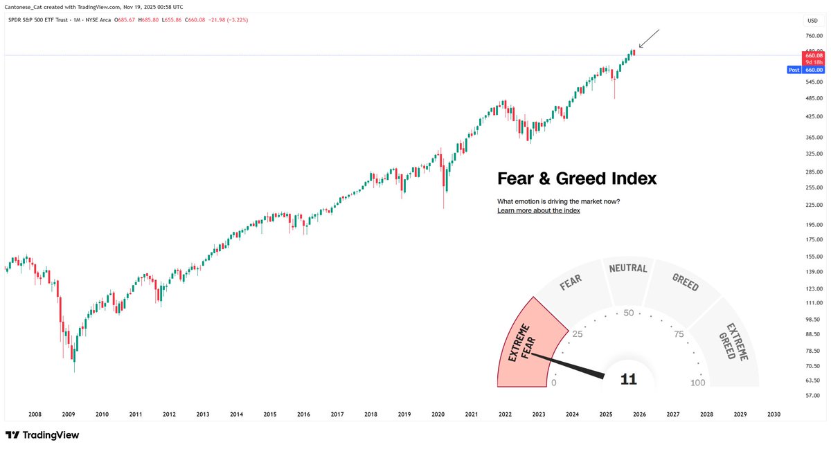 Cantonese Cat 🐱🐈 tweet media