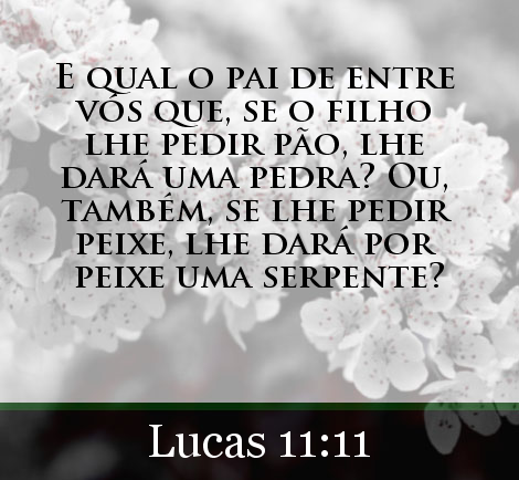 Bíblia Presente (@leitorlsb) on Twitter photo 