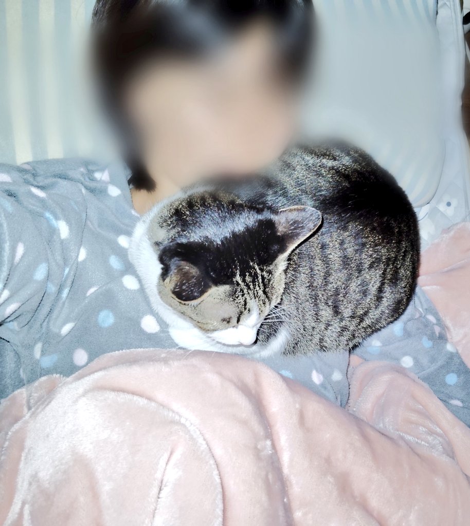 fuyu1212_'s tweet image. 結構お邪魔なんですが…😅
可愛いから許すけどさ笑笑笑