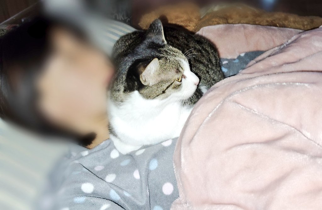 fuyu1212_'s tweet image. 結構お邪魔なんですが…😅
可愛いから許すけどさ笑笑笑