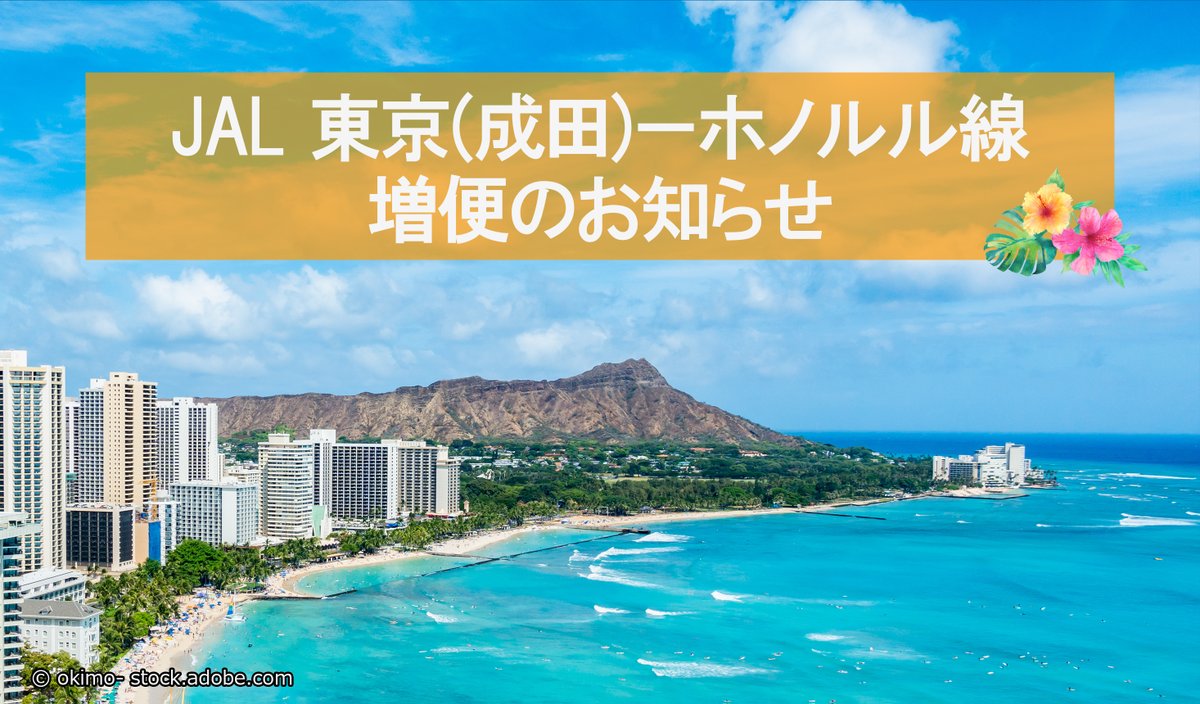 JAL_Official_jp's tweet image. #JAL 東京(成田)－ホノルル線
 12月・1月 増便のお知らせ💁‍♀️
￣V￣￣￣￣￣￣￣￣￣￣￣￣
&amp;lt;運航日&amp;gt;
12月9・12・16・23・26・28日
1月6・9・11日
※12月9・16日はホノルル→東京(成田)のみ運航

燃油サーチャージ込みで
🌺往復97,000円～

👇運航スケジュール・ご予約はこちら
social.jal.co.jp/kUd