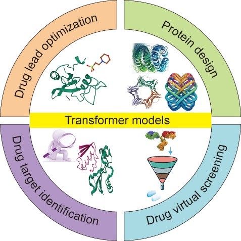 JPharmAnalysis's tweet image. A review of transformer models in drug discovery and beyond
Scientists reviewed the revolution that transformers have brought in protein design, drug target identification, virtual screening, lead optimization, and single-cell data analysis.#Pharmaceutical
doi.org/10.1016/j.jpha…