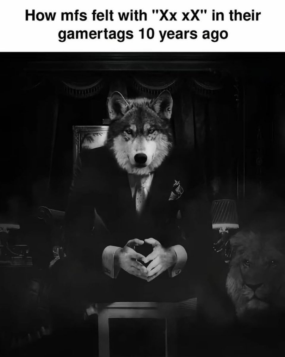 thedailymemes_'s tweet image. 