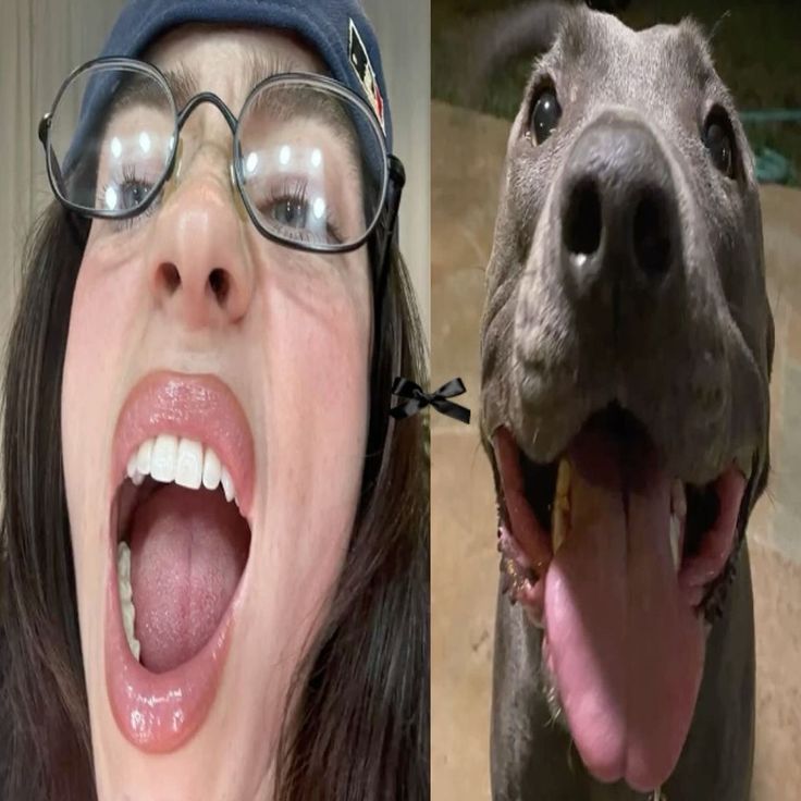 ؘ (@mothrcain) on Twitter photo 