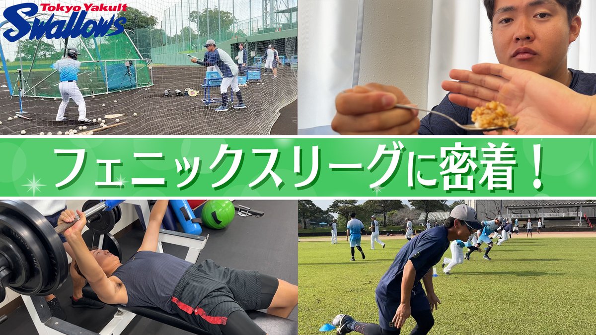 スワローズファン感2025 オンライン謎解き11日目🕵️ オリジナル動画を