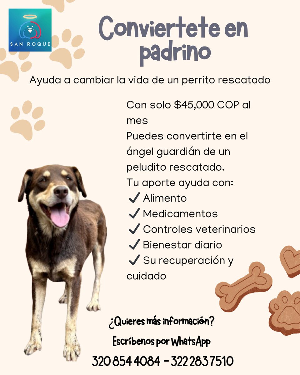 ¿Quieres cambiarle la vida a un perrito rescatado? 🐶💙
¡Hazte padrino y ayúdanos a seguir salvando peluditos!

Con una mensualidad mínima de $45,000 COP, ayudas a cubrir alimento, medicamentos, controles veterinarios y el bienestar diario de uno de nuestros rescatados.
Ellos