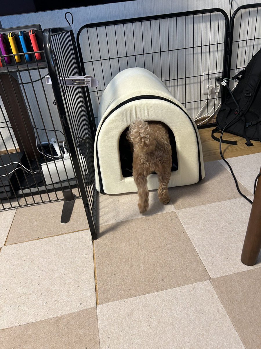 なーちゃんページ なーちゃんNewハウス…🏠