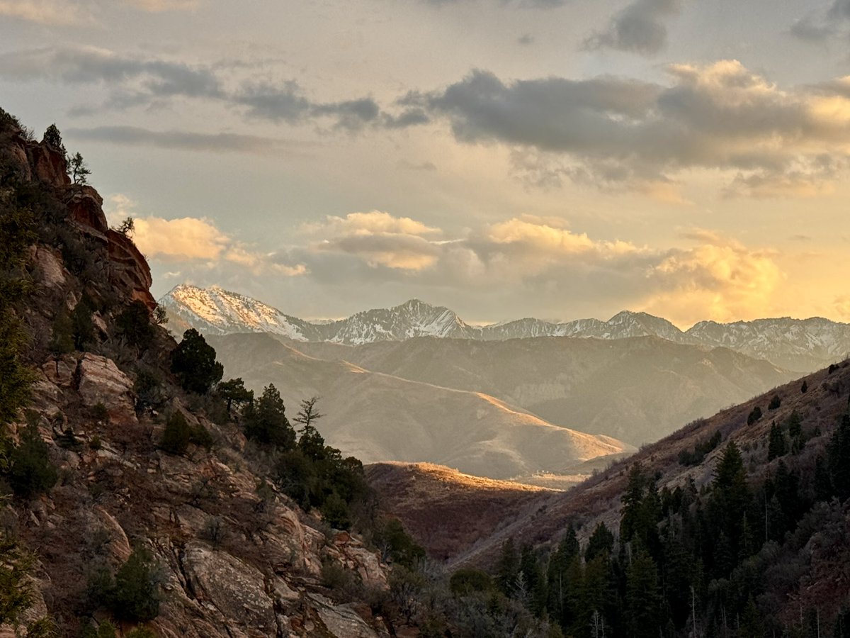 JasonSynaptic's tweet image. &quot;The heart will break, but broken live on.&quot;