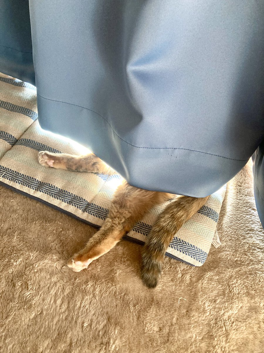 太陽でてハッピーですな