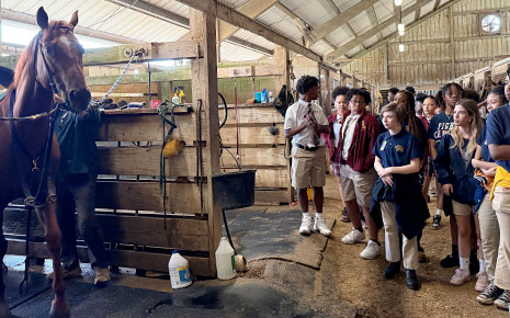 SLPEconDev's tweet image. On Sept. 25, nearly 120 St. Landry Parish high school seniors attended Equine Day to learn about horses, their care, and one of Louisiana’s most important industries. Learn more: rebrand.ly/esiv8wx
