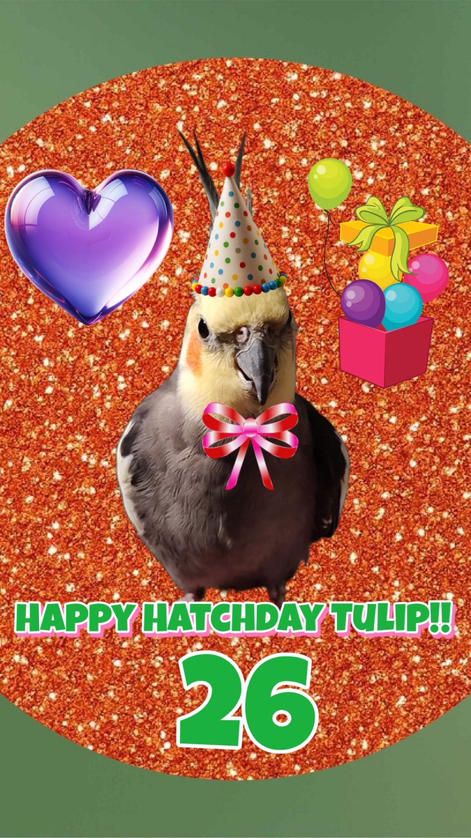 Tiel Lover 🌻🇺🇦 tweet media