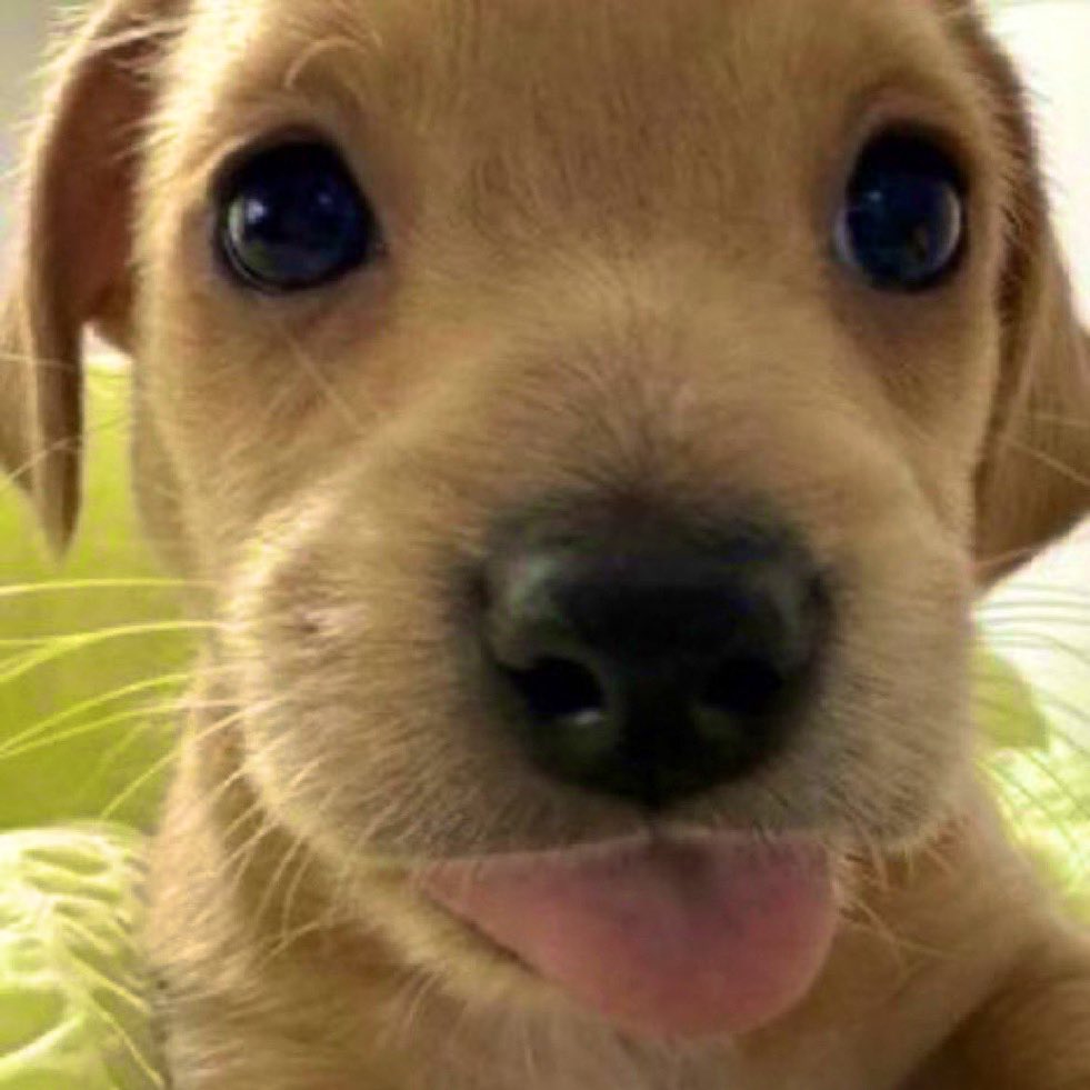 metasIasher's tweet image. so there’s this bi man that i am now in a relationship with #matt