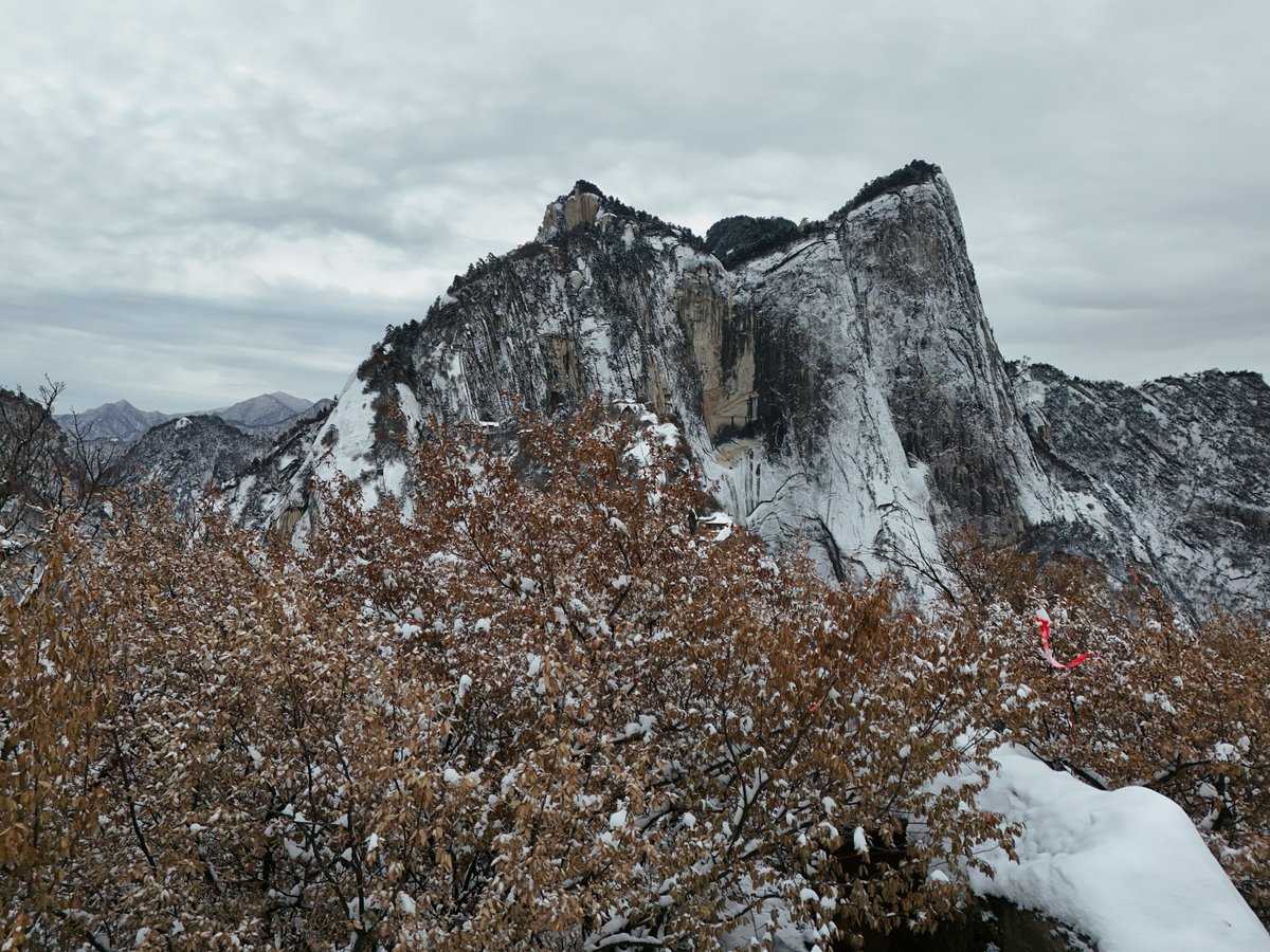 Thisisweinan's tweet image. Huashan’s first snow of the winter has arrived! ❄️🏔️
On Nov 16, the mountain transformed into a silver-white wonderland—peaks piercing the clouds, ancient temples wrapped in snow, and the iconic Huashan pines standing strong under fluffy snowcaps.
#Huashan #ChinaTravel #Snow